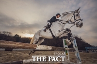  '도약하는 말처럼 힘차게'…2026년 병오년이 밝았다! [TF사진관]