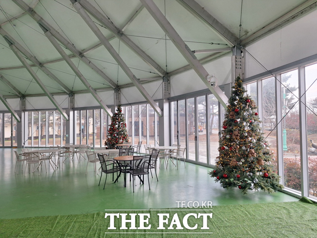 울진 왕피천공원 야외 빙상장이 20일부터 개장해 내년 3월 2일까지 운영한다. /울진군