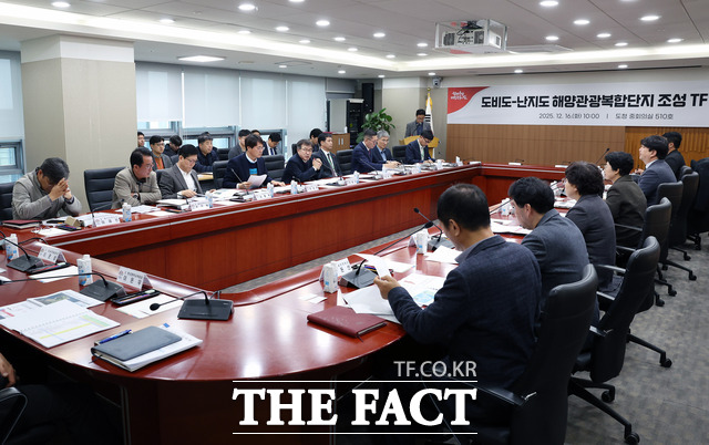 충남도 도비도·난지도 해양관광복합단지 전담팀이 16일 열린 1차 회의에서 특구 지정과 인허가 등 핵심 과제를 논의하고 있다. /충남도