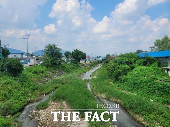 경기도의 '지방하천 정비 사업'이 추진될 경기 포천시 고모천 모습. /경기도