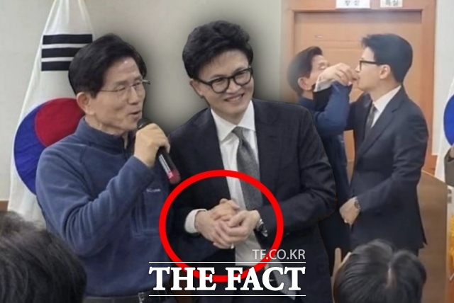 김문수 전 고용노동부 장관과 한동훈 전 국민의힘 대표가 손을 잡고 있는 모습. /SNS 갈무리
