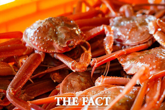 임금의 수라상에 올랐다는 울진대개. /울진군