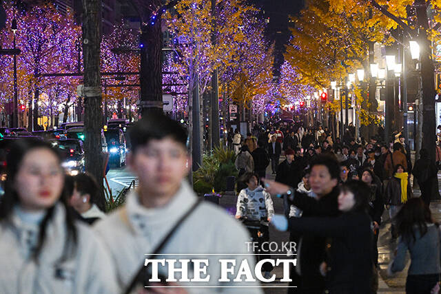 크리스마스를 닷새 앞둔 20일 오후 일본 오사카 난바 거리에서 시민들이 크리스마스 시즌 조명으로 장식된 거리를 거닐고 있다. /오사카=서예원 기자