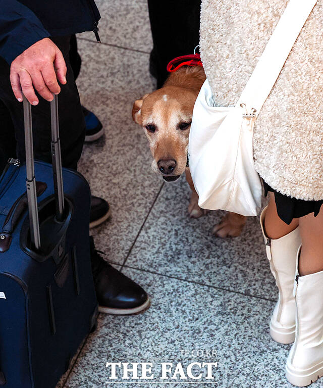 공항 이용객들에게 '마약밀수 근절' 캠페인 펼치는 관세청.
