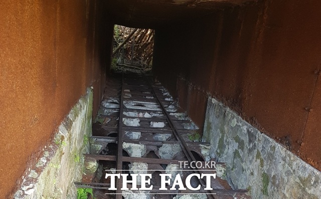 1926년 하와이섬(빅아일랜드) 힐로 지역에 이승만 박사가 조성한 '동지촌' 인근에 독립운동 자금 조성과 경제자립을 위해 설립한 동지식산회사 운영 숯가마가 오랜 세월 속에 점차 훼손되고 있다. /김형수 선임기자