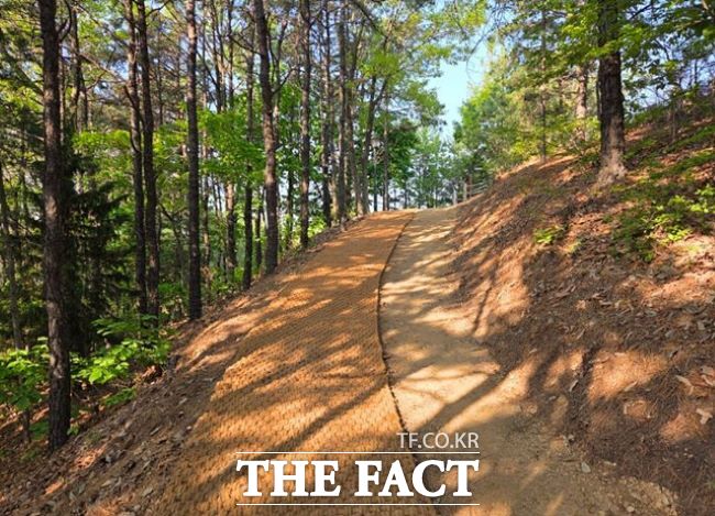 화성 선납숲공원 맨발산책로. /화성시