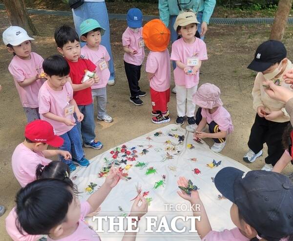 대전시가 전국 최초로 유아목재놀이교육 지식재산권(IP)을 확보했다. /대전시