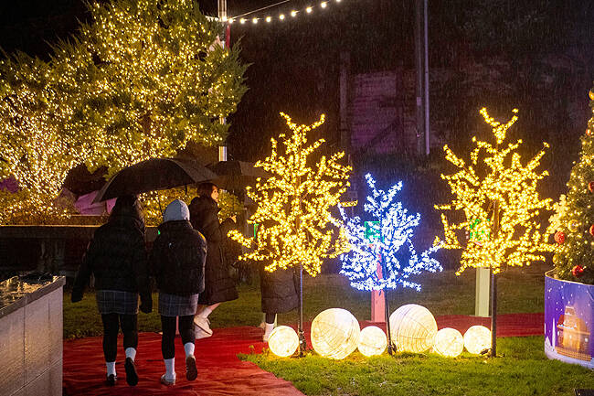 울릉군 한마음회관 마당이 겨울밤을 밝히는 화려한 빛의 향연으로 물들고 있다. /울릉군
