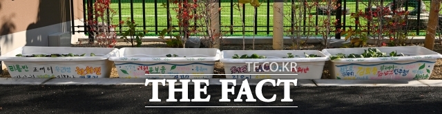 일본 오사카에 위치한 오사카조선중고급학교에 학생들의 이름이 적힌 화분이 놓여 있다. /오사카=서예원 기자