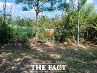  대전 유성구, 은구비공원 멸종위기종 맹꽁이 보호 나선다