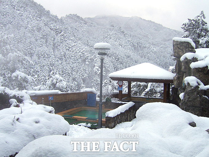 울진 덕구온천의 겨울 노천탕 풍경. /울진군