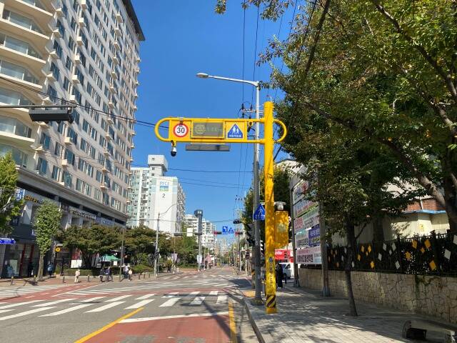 서울시가 스마트폴 1000여 기를 대상으로 운영 효과를 분석한 결과 어린이보호구역 내 교통사고가 줄고 보행자와 운전자 시야가 개선되는 성과가 확인됐다. /서울시