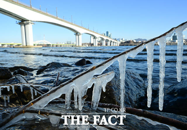 서울 기온이 영하 11도를 기록하는 등 전국 대부분 지역에 한파특보 및 한파주의보가 발효된 26일 오전 서울 마포구 양화한강공원 일대 나뭇가지에 흡사 거북이, 애벌레, 펭귄, 육쪽마늘(왼쪽 위부터 시계방향) 등을 닮은 고드름이 형성돼 있다. /이새롬 기자