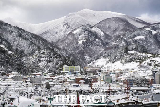 하얀 겨울옷을 갈아입을 울릉도 풍경. /독자제공