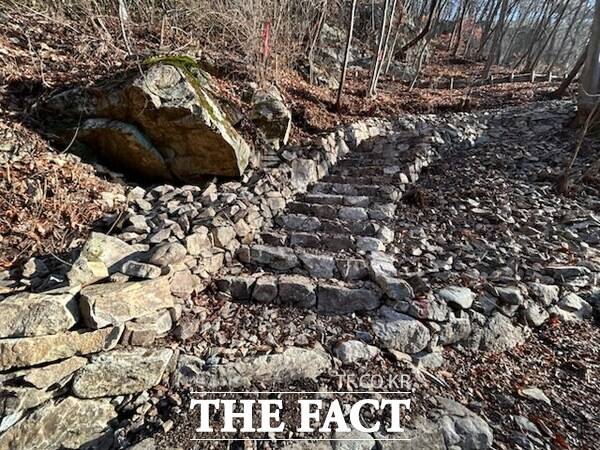 금산림문화타운 대화의 숲길 모습. /금산군