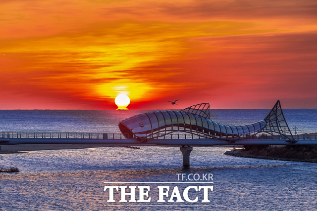 은어다리 일출 모습. /울진군