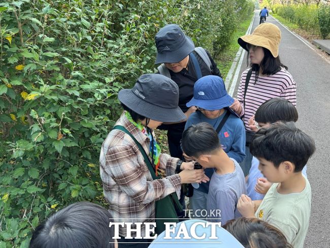 안양천생태이야기관 안양천 보물찾기 프로그램 진행 모습 /안양시