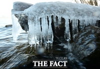  '춥다 추워' 바위 뒤덮은 고드름 [포토]