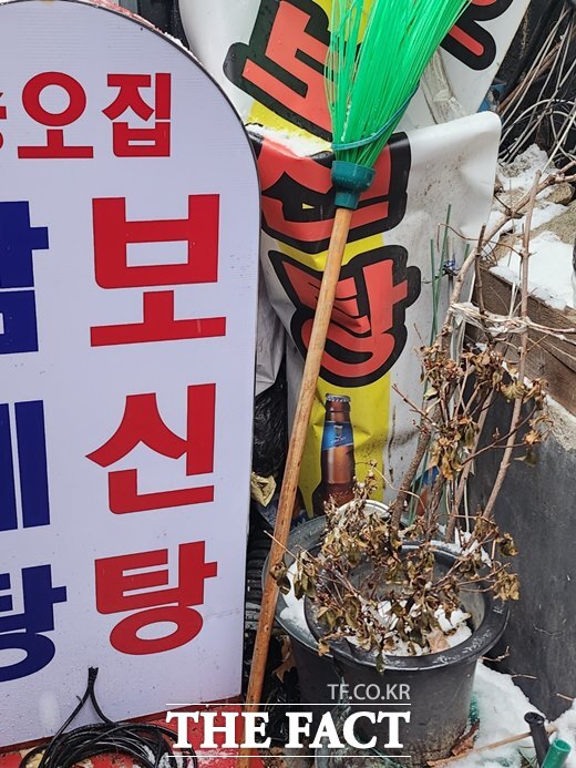 농림축산식품부가 개식용종식법 시행 이후 전국 개사육농장 10곳 중 8곳이 닫았다고 밝혔다. /더팩트 DB