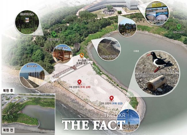 철새도래지 서식처 조성 사업 개념도. /시흥시