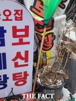  개사육농장 10곳 중 8곳 폐업…2027년 완전 종식 계획