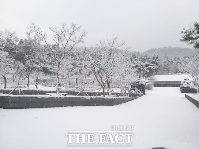 바다향기수목원 설경. /경기도