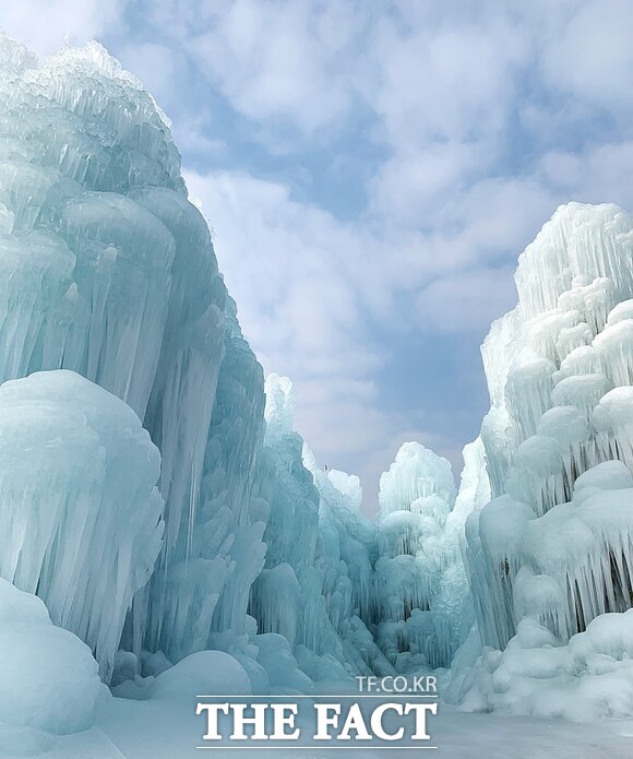 칠갑산 얼음분수. /충남도