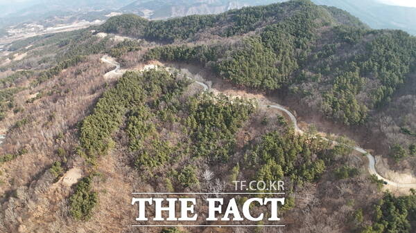 금산군 부리면 현내리~예미리 간선임도 전경. /금산군