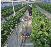  예천군 '무거운 딸기 박스, 이젠 로봇이 옮긴다'