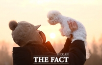  새해 첫날부터 전국 '한파'…어디서나 선명한 해돋이