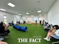  경기도, 2026년 반려동물 교감 활동 프로그램 수행사업자 공모