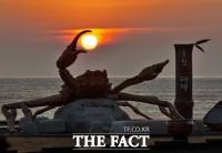  경북 경찰, 병오년 해맞이 안전관리 '총력'