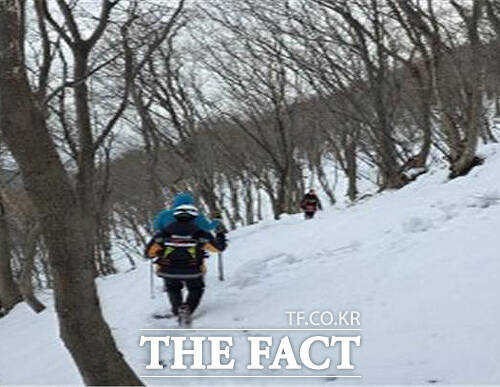 포항남부소방서 울릉119안전센터가 조난당한 등산객을 구조하고 있다. /울릉119안전센터