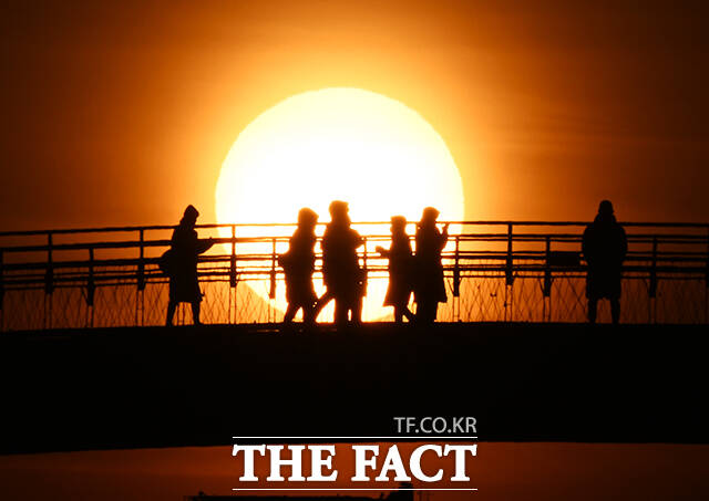 ‘붉은 말의 해’ 병오년 첫날인 1일 오전 서울 영등포구 선유도 공원에서 새해 첫 해가 떠오르고 있다. /배정한 기자