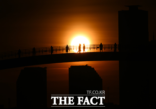 ‘붉은 말의 해’ 병오년 첫날인 1일 오전 서울 영등포구 선유도 공원에서 새해 첫 해가 떠오르고 있다. /배정한 기자