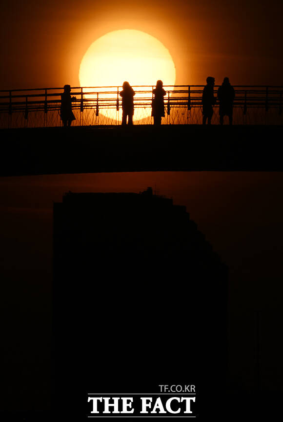 ‘붉은 말의 해’ 병오년 첫날인 1일 오전 서울 영등포구 선유도 공원에서 새해 첫 해가 떠오르고 있다. /배정한 기자