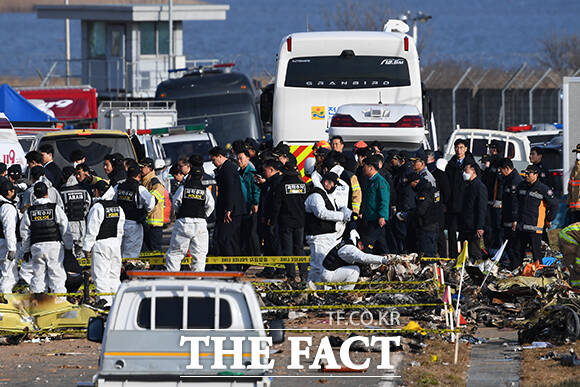 국토교통부 항공정보포털에 따르면 지난해 1~11월 대형항공사(FSC)의 전체 여객 수는 4904만여명으로 전년 동기 대비 4.2% 증가했다. 반면 LCC의 여객 수는 6461만여명으로, 2024년 같은 기간(6582만여명)보다 1.8% 감소했다. /더팩트DB