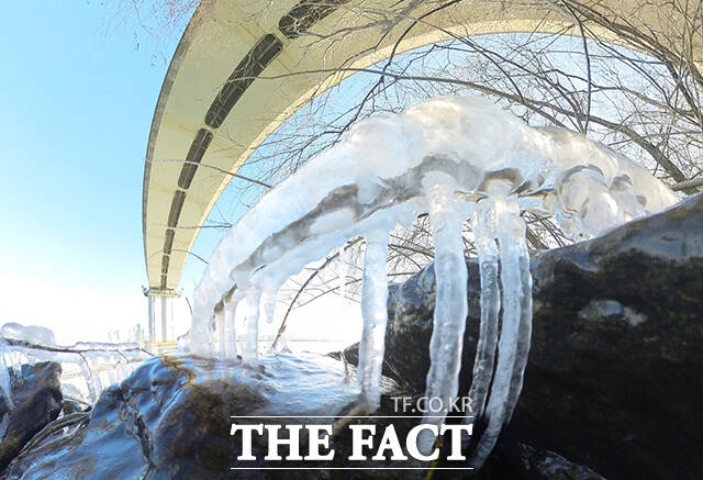 서울 전역에 한파특보가 발효된 2일 오전 서울 영등포구 한강공원에 고드름이 얼어 있다. /박헌우 기자