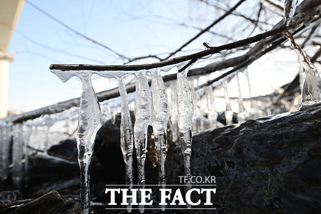 서울 전역에 한파특보가 발효된 2일 오전 서울 영등포구 한강공원에 고드름이 얼어 있다. /박헌우 기자