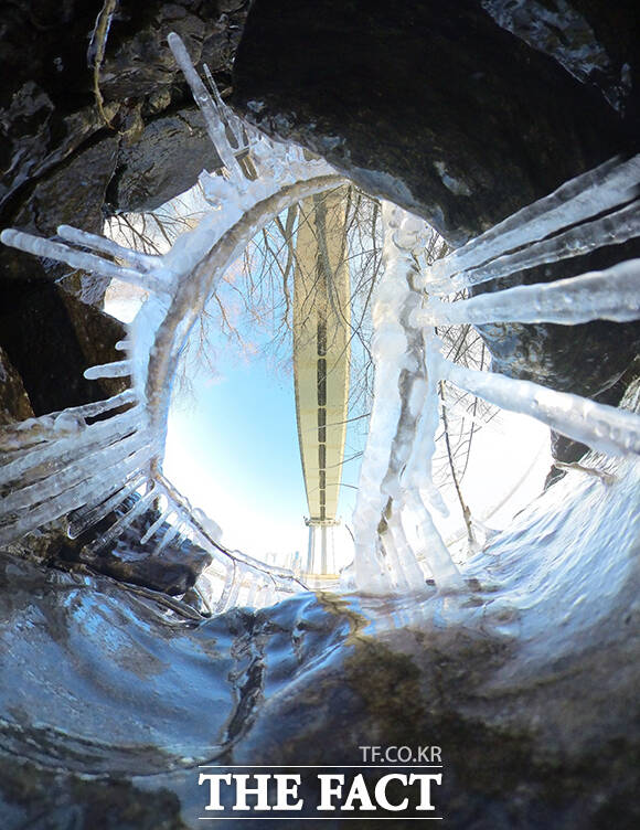 서울 전역에 한파특보가 발효된 2일 오전 서울 영등포구 한강공원에 고드름이 얼어 있다. /박헌우 기자