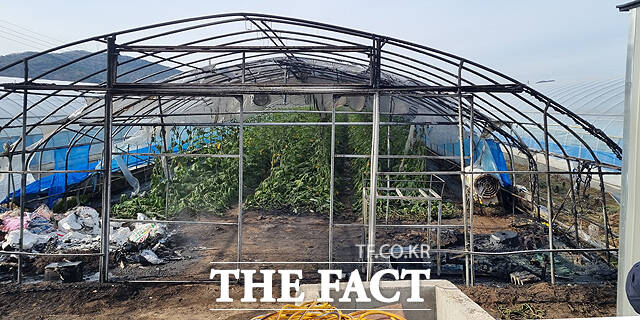 1일 오전 안동시 풍천면의 한 비닐하우스에서도 전기적 요인으로 추정되는 화재가 발생했다. /경북소방본부