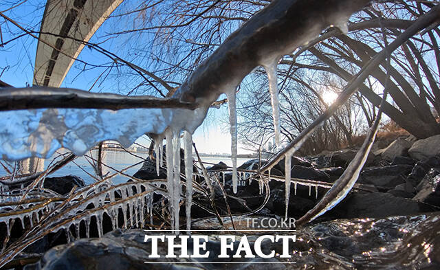 서울 전역에 한파특보가 발효된 2일 오전 서울 영등포구 한강공원에 고드름이 얼어 있다. /박헌우 기자