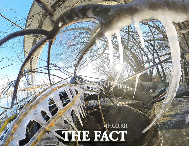 서울 전역에 한파특보가 발효된 2일 오전 서울 영등포구 한강공원에 고드름이 얼어 있다. /박헌우 기자