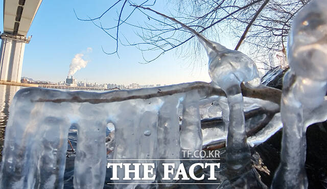 서울 전역에 한파특보가 발효된 2일 오전 서울 영등포구 한강공원에 고드름이 얼어 있다. /박헌우 기자