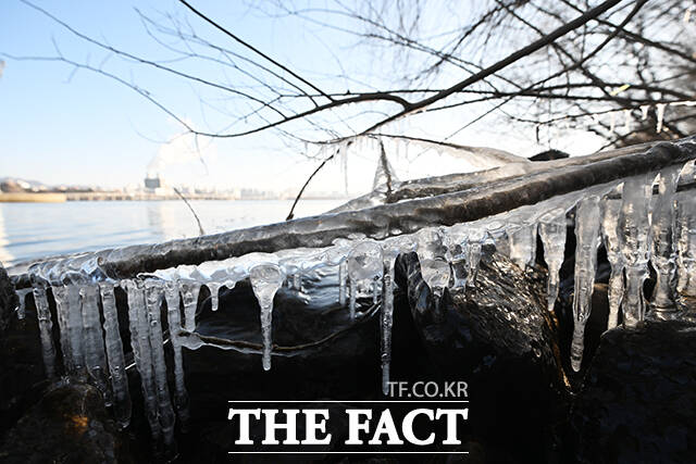 서울 전역에 한파특보가 발효된 2일 오전 서울 영등포구 한강공원에 고드름이 얼어 있다. /박헌우 기자