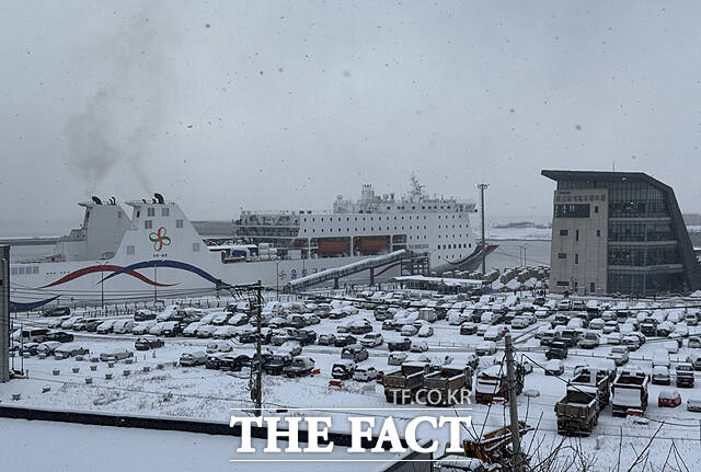 2일 오전 울릉도 누적 적설량은 32.0cm(최심적설 32.7cm)에 달한다. /울릉군