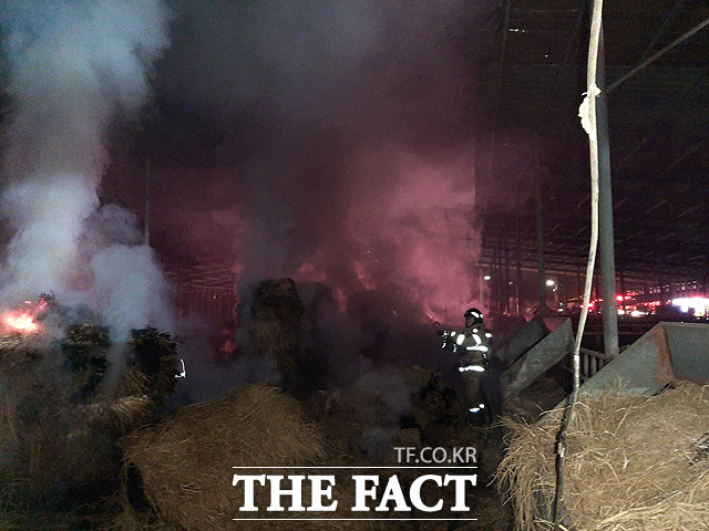 2일 오후 6시 40분쯤 영주시 부석면 상석리의 한 우사에서 화재가 발생해 소방당국이 진화에나섰다. /경북소방본부