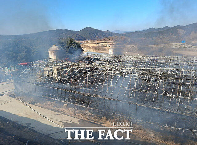 2일 오전 11시 5분쯤 예천군 풍양면 청곡리의 한 양계장에서 화재가 발생해 소방당국이 진화에 나섰다. /경북소방본부