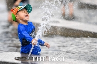  지난해 여름 역대 가장 더웠다…177일간 강릉 가뭄 '역대 3위'