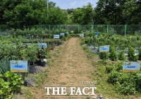  대전 유성구, 도심 속 친환경 농장 '공동체 텃밭' 운영